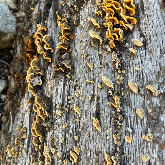 hello :) - Picture 5 of 15